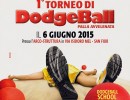 manifesto a4 dogeballweb